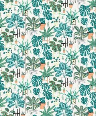 House Plants A Bright Bold Botanical Wallpaper Milton King Aus