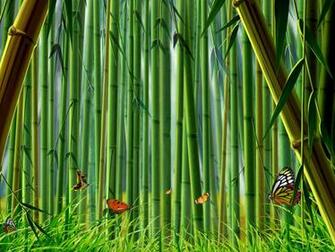Bamboo Forest Wallpaper
