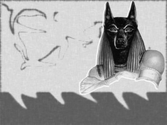 Anubis Le Seigneur Cool De N Cropole Wallpaper