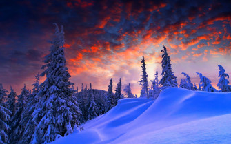 Desktop Background Keeps Disappearing Wallpaper