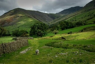 Pin Green Mountains Scotland Wallpaper Open Walls