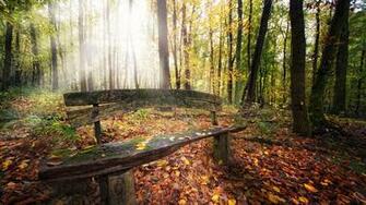 Autumn Wallpaper HD Desktop