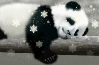 Url Background Pictures Feedio Net Cute Panda Wallpaper