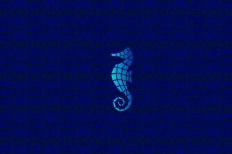 Pics Photos Seahorse Wallpaper Background
