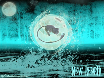 Mew Rebirth Wallpaper By Unknownduchess