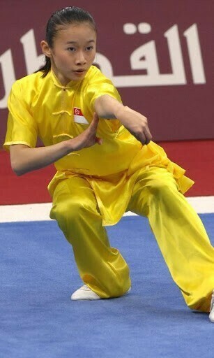 Bigger Wushu Sport Wallpaper For Android Screenshot