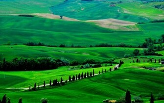 Nature Wallpaper HD