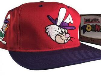 Vintage Ricochet Rabbit American Needle Blockhead Fresh