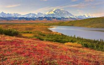 Denali National Park