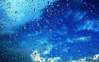 Nature Rain HD Wallpaper