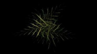 Pine Black Background Widescreen Fractal Art Wallpaper