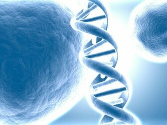 Biology Dna Wallpaper