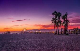 Wallpaper Beach Palm Trees The Ocean Ca Usa Los Angeles