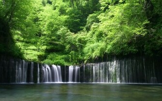 Nature Rain Forest Desktop Wallpaper Nr By Striker