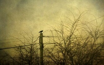 Sepia Cross Trees Lines Sky Gothic Dark Photography Mood Wallpaper