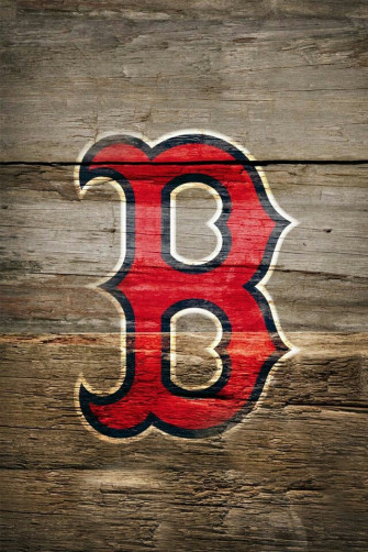 Fitted Cases Skins For iPhone 5c Red Sox Logo Boston