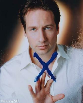 David Duchovny Image HD Wallpaper And Background