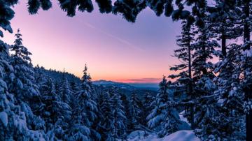 Winter Wonderland Vancouver Island Bc HD Wallpaper