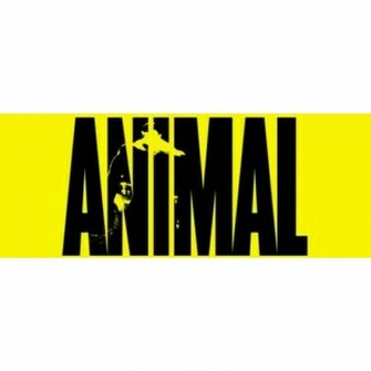 Pin Animal Pak Wallpaper Fever