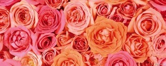 Wallpaper Flower Dual Screen