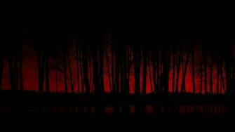 Night Forest Desktop Background HD Wallpaper Computer