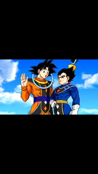 Angel Goku And God Of Destruction Vegeta Anime Dragon Ball