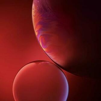 Grab All Bubbly iPhone Xr Wallpaper Right Here Tgg