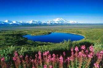 Np Alaska Picture Denali Photo Wallpaper