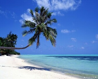 Travel Wallpaper Tahiti Index