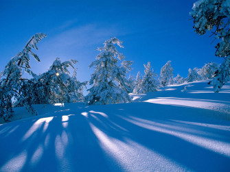 Snow Wallpaper