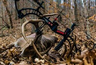 Pse Archery Wallpaper