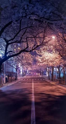 Japan Visuals On Beautiful Landscape Wallpaper