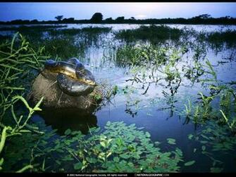 Famous National Geographic HD Wallpaper Part Unique