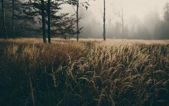 Cool Manly Wallpaper Image