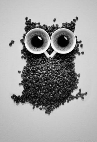 Owl Screensavers For Kindle HD Mediafirefix