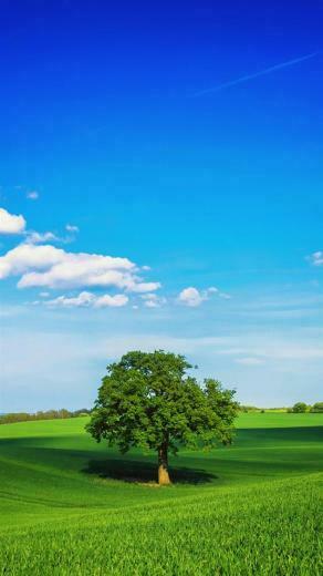 Nature iPhone Plus Wallpaper HD
