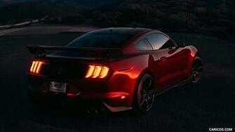 Ford Mustang Shelby Gt500 Rear HD Wallpaper