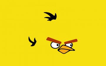 Yellow Angry Bird