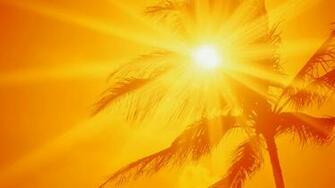 Summer Wallpaper HD Imagebank Biz