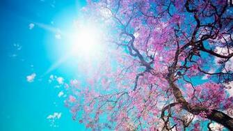 Spring Wallpaper Best