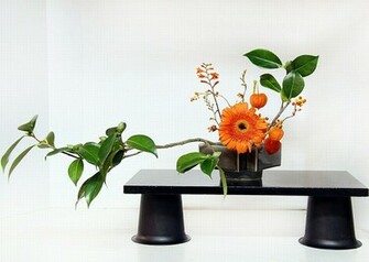 Ikebana Wallpaper