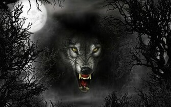 3d Wallpaper Black Wolf