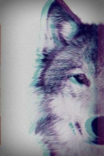 Wolves Random Acts And