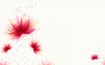 Elegant Flower Pictures