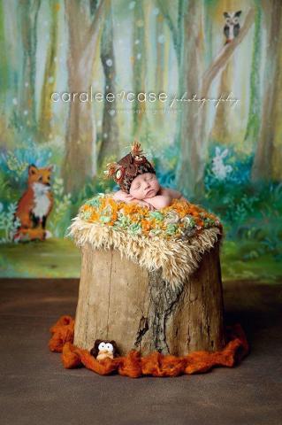Woodland Gathering Painted Backdrops Background Newborn