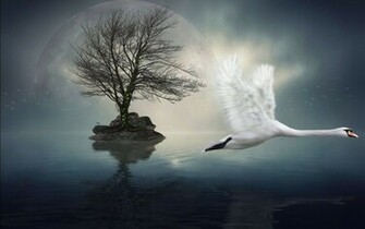 Beautiful Surrealism Wallpaper