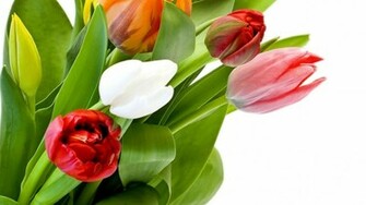 Bouquet Flowers Wallpaper HD Topwallpaper