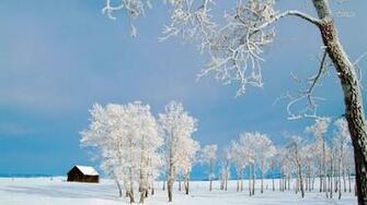 Lone Cabin In The Snow Wallpaper Nature