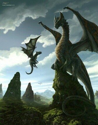 Dragons Image Flying Lesson HD Wallpaper And Background Photos