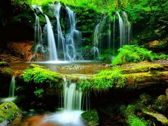 Landscape Green Cute Desktop Image Windows Mac Wallpaper